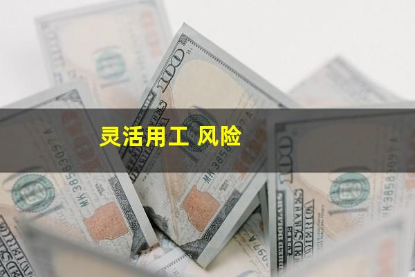 灵活用工 风险
